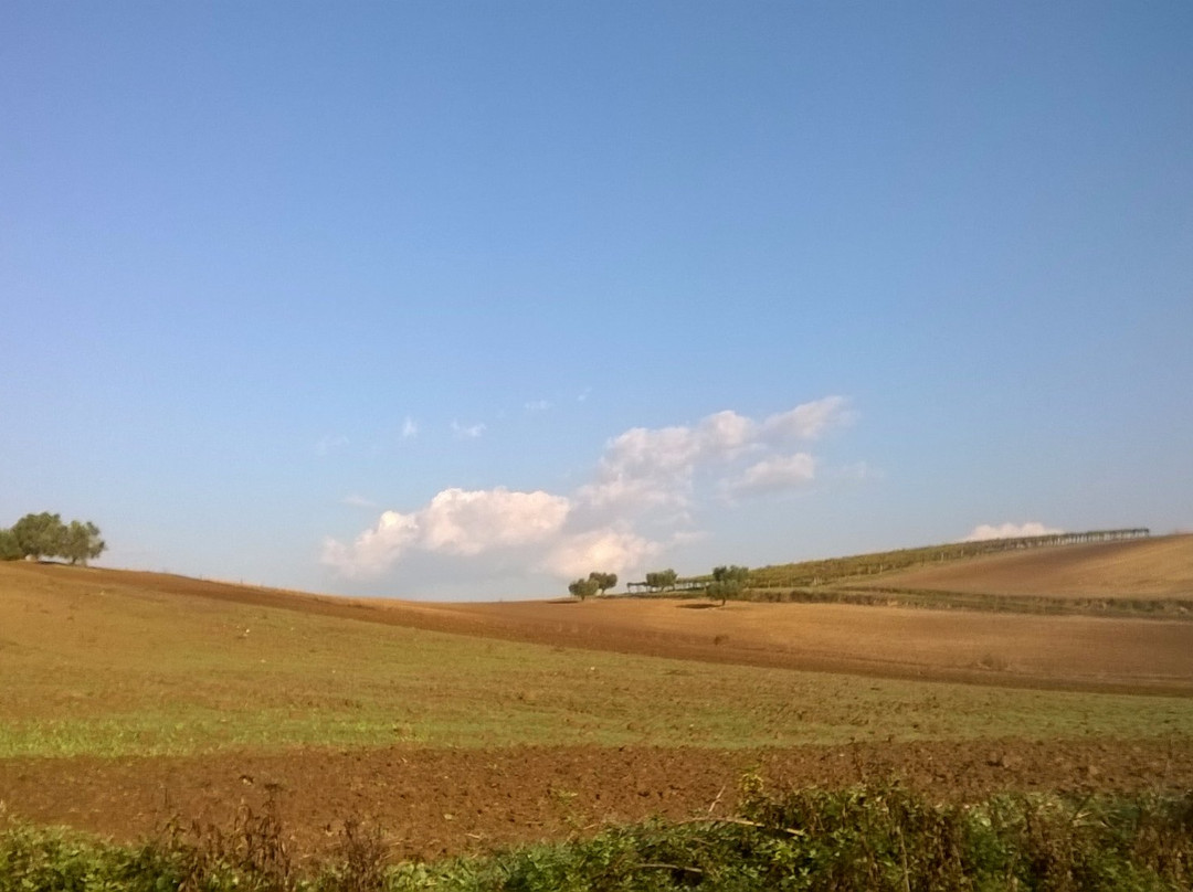 Riserva Naturale Macchia di Gattaceca e Macchia del Barco景点图片