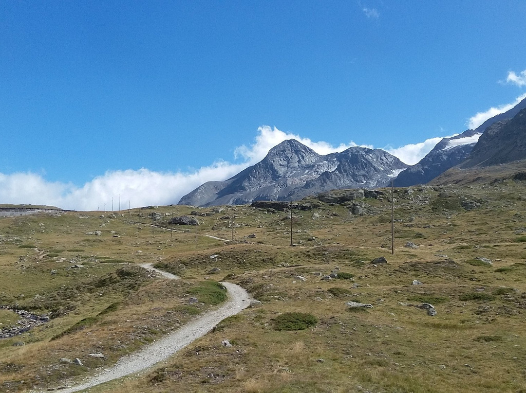 Ospizio Bernina旅游攻略图片
