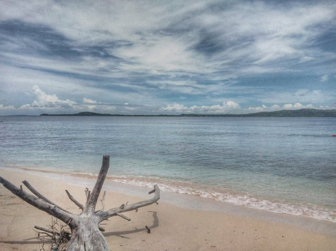Isla De Potipot Hotel And Beach Resort