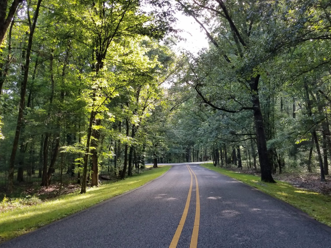 Gillett旅游攻略图片