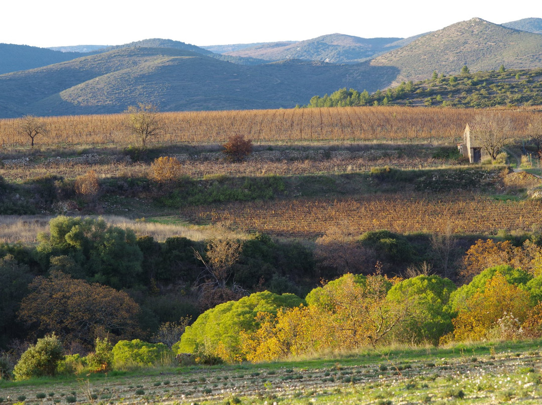 Domaine GALTIER-Murviel-les-Beziers必去景点