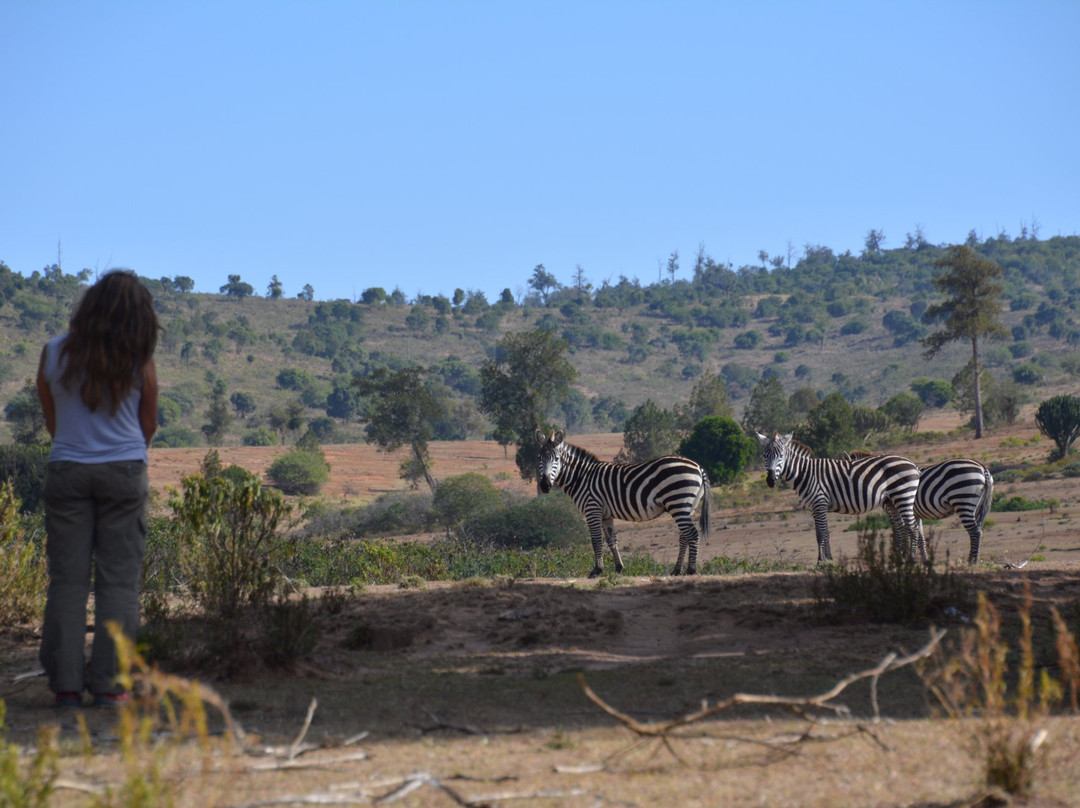 Turkana Safaris-Maralal必去景点