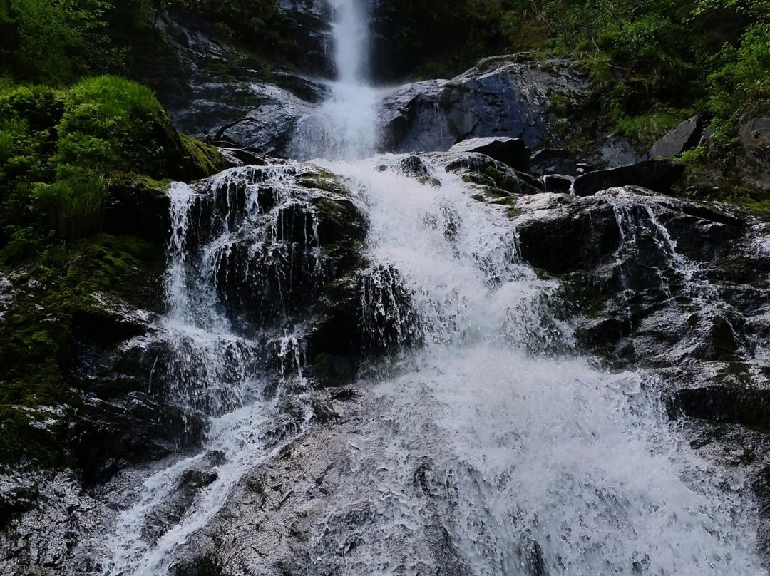 Tonsina Creek Trail-苏厄德必去景点