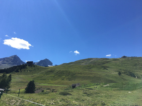 Heidi's blumenweg-圣莫里茨必去景点