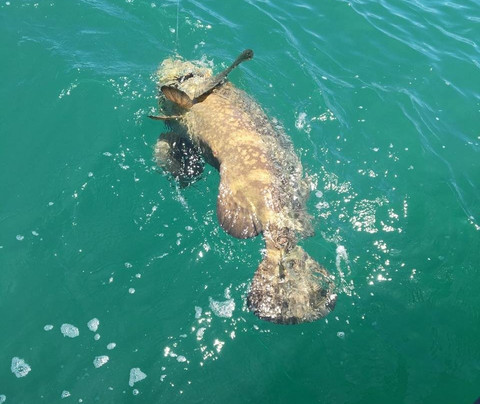 Island Fever Fishing Charters-迈尔斯堡海滩必去景点