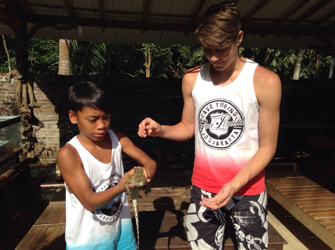 Reptile Rescue Borobudur-Borobudur必去景点