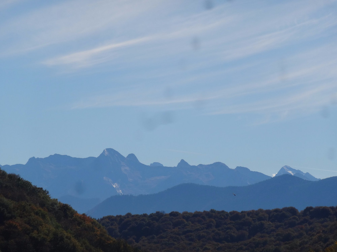 康迪鲁农场酒店主图