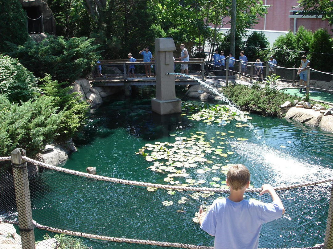 Tiki Action Park-Centereach必去景点