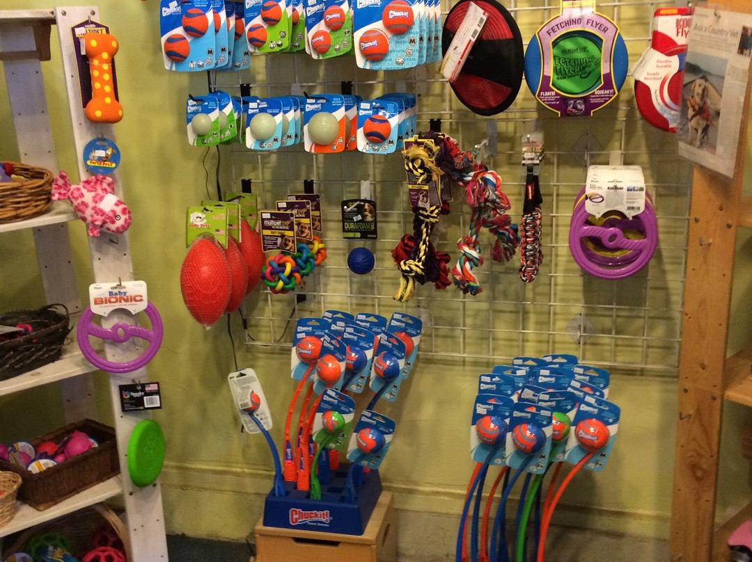 Puppy Love by the Sea-坎农比奇必去景点