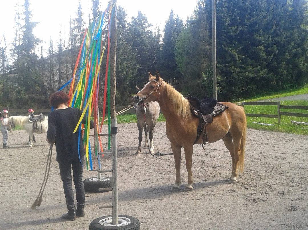 Pony und Reiterhof Mai-Haiger必去景点