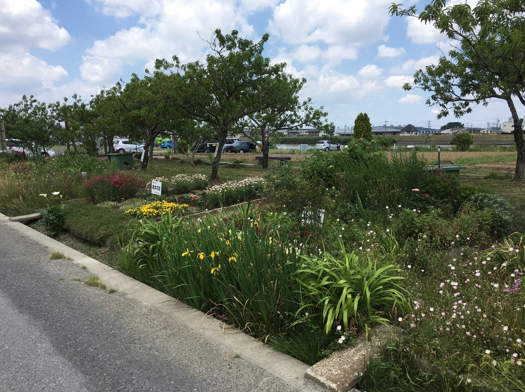 Nakagawa Yashio Flower Park-八潮市必去景点