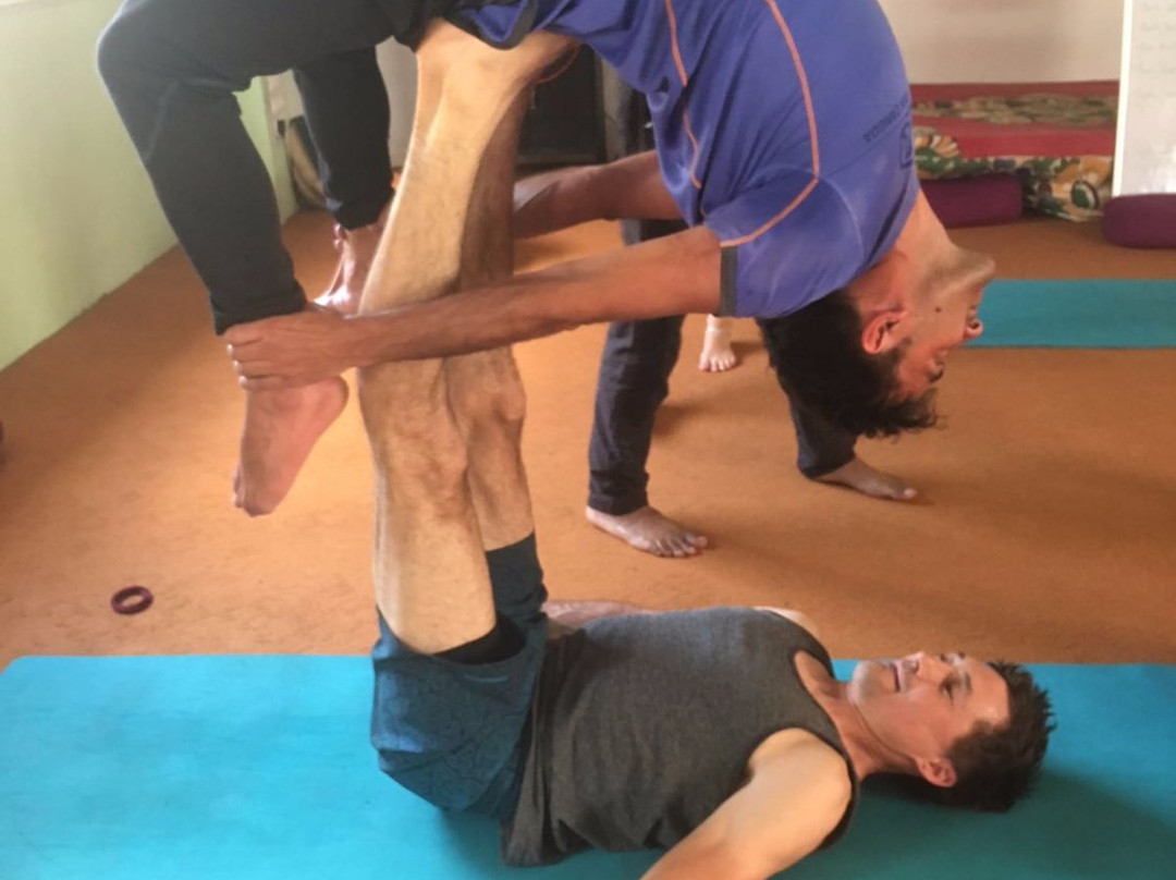 Hatha Yoga World景点图片