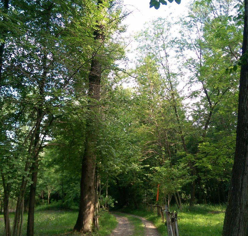 Parco del Piave景点图片
