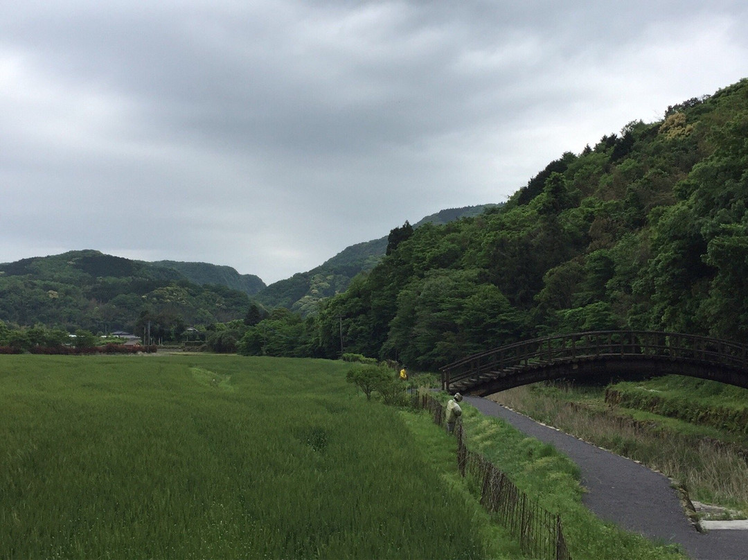 Tashibunosho Kosaki景点图片