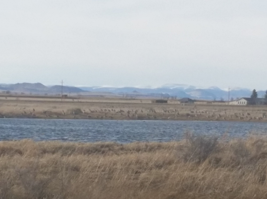 San Luis Valley Brewing Company-阿拉莫萨必去景点