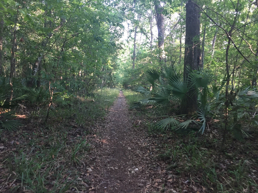 Black Creek Trail-橙园必去景点
