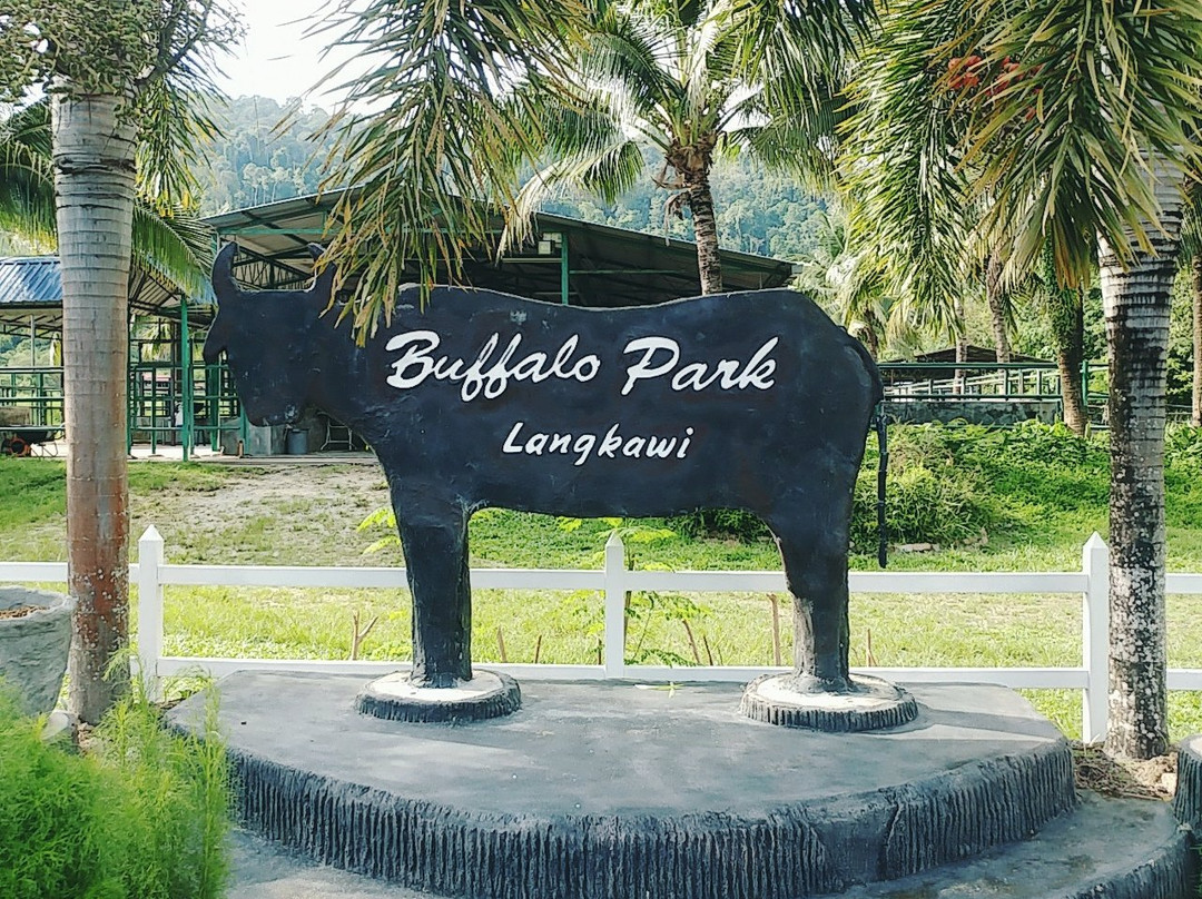 Kampung Padang Gaong旅游攻略图片