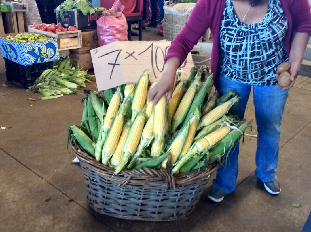 Feria libre de Rahue-Osorno必去景点