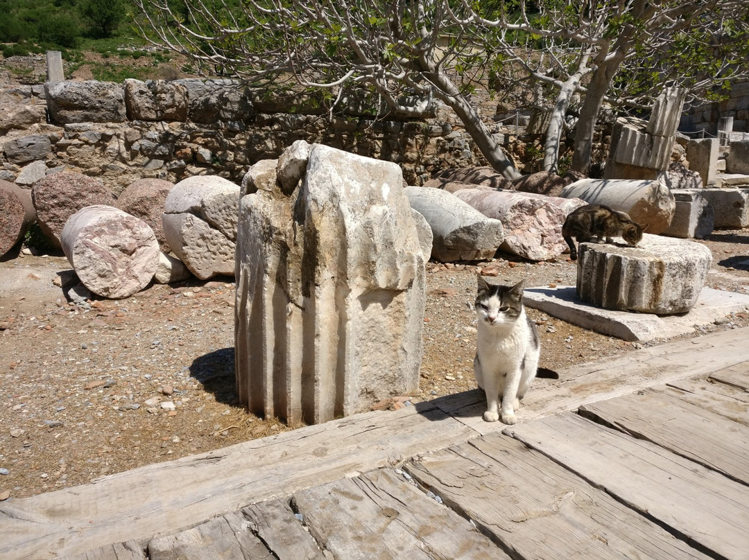 Izmir Ephesus Tours-伊兹密尔必去景点