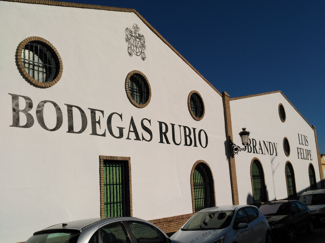 Bodegas Rubio景点图片