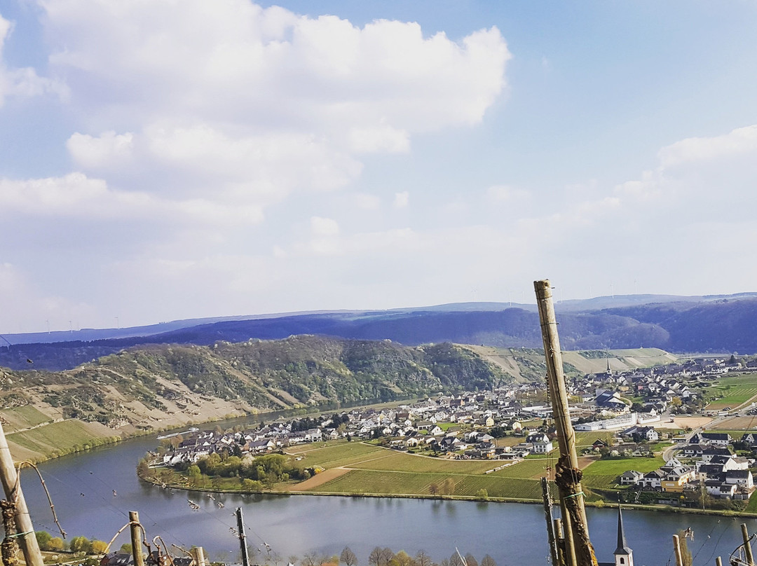Weinschiff Neumagen Dhron景点图片