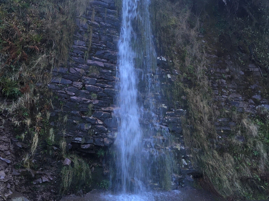 Ocean View B&B主图