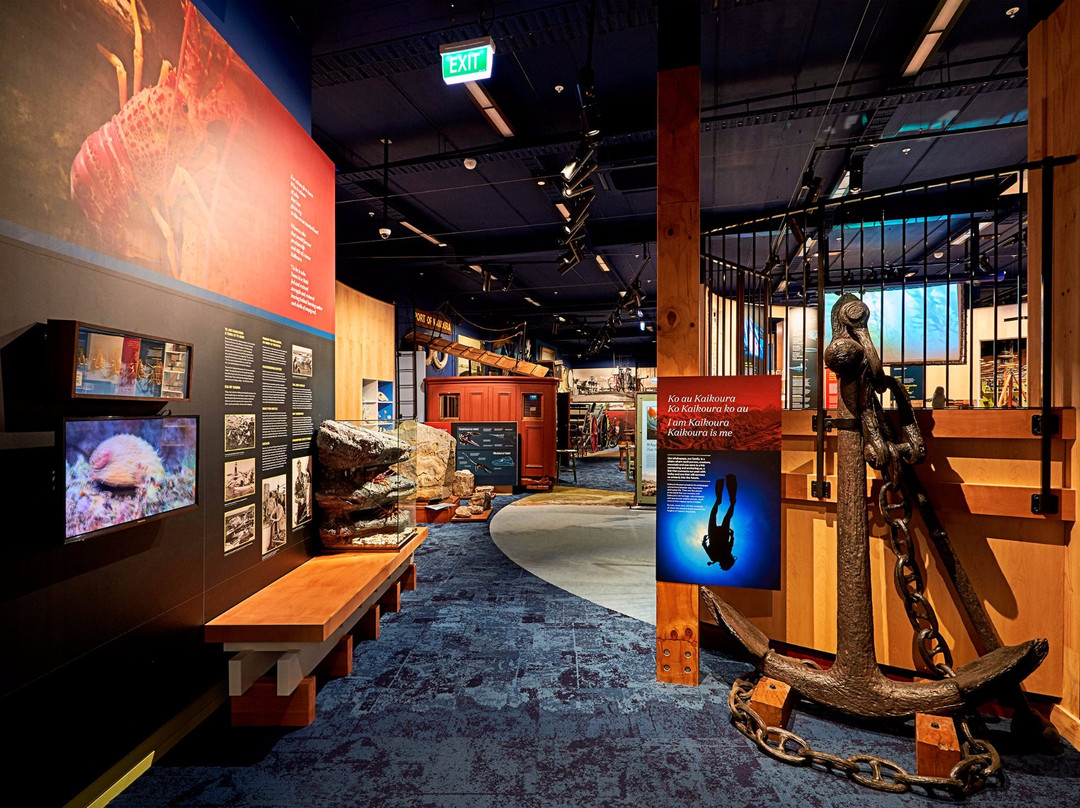 Kaikoura Museum景点图片