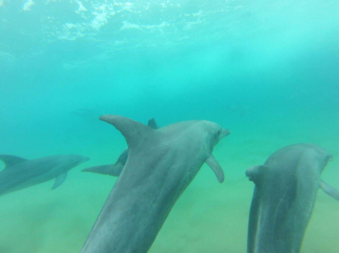 Da Blu Juice-索德瓦纳必去景点