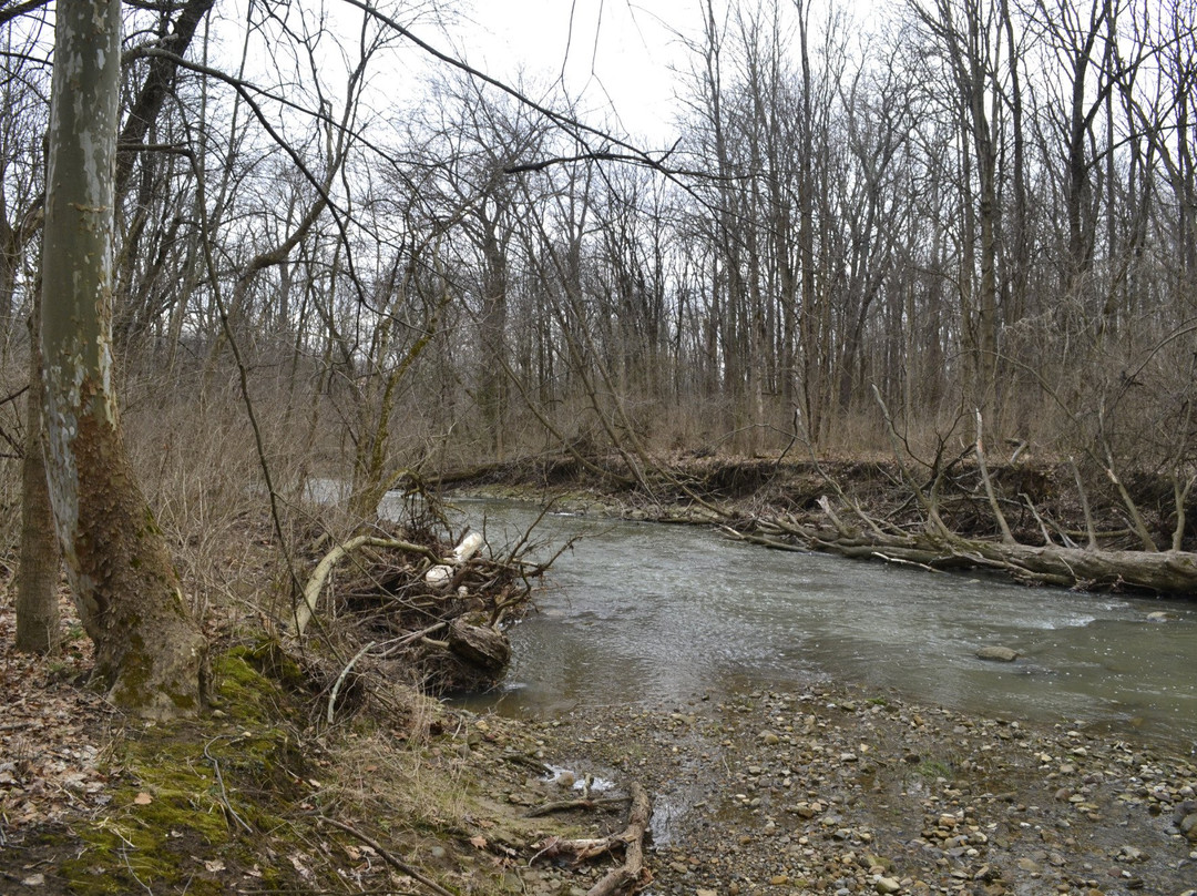 Mt Gilead Ohio State Park景点图片