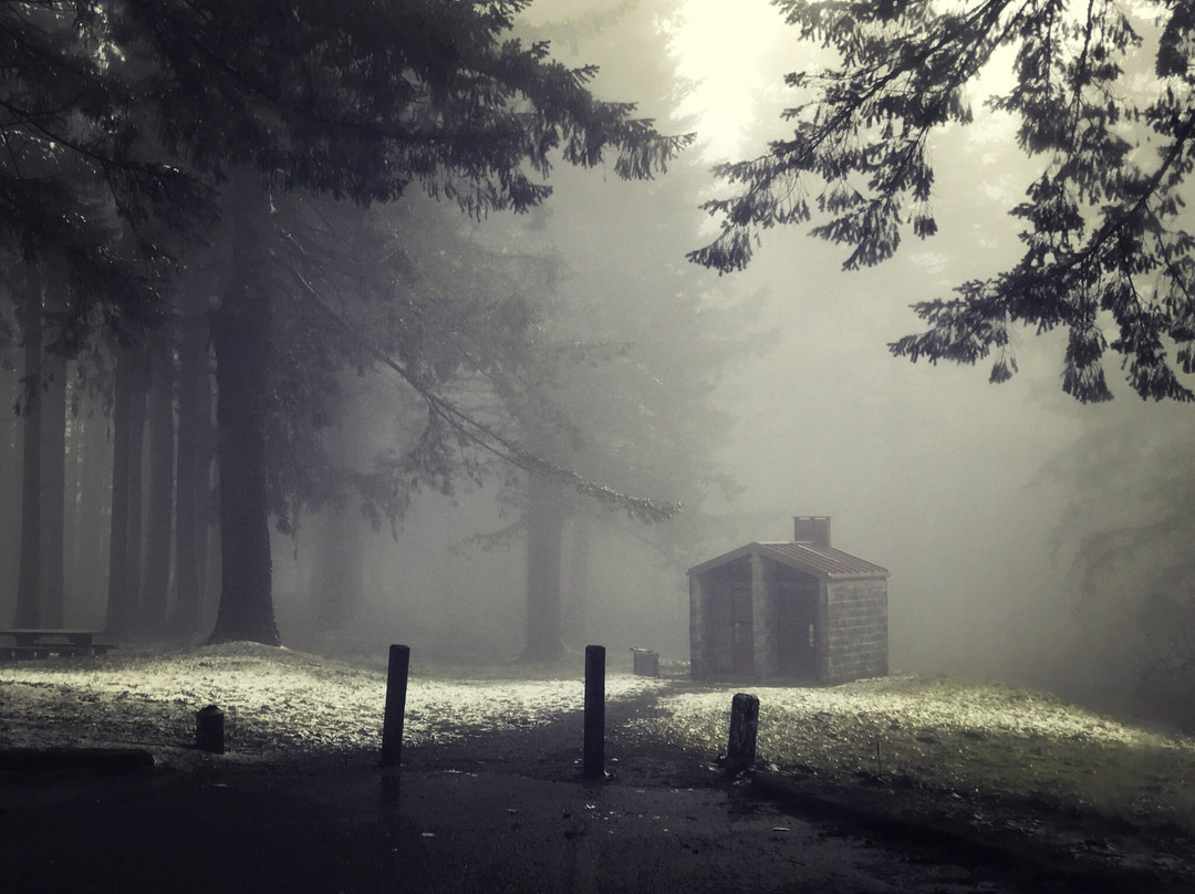 Bald Peak State Park-希尔斯伯勒必去景点