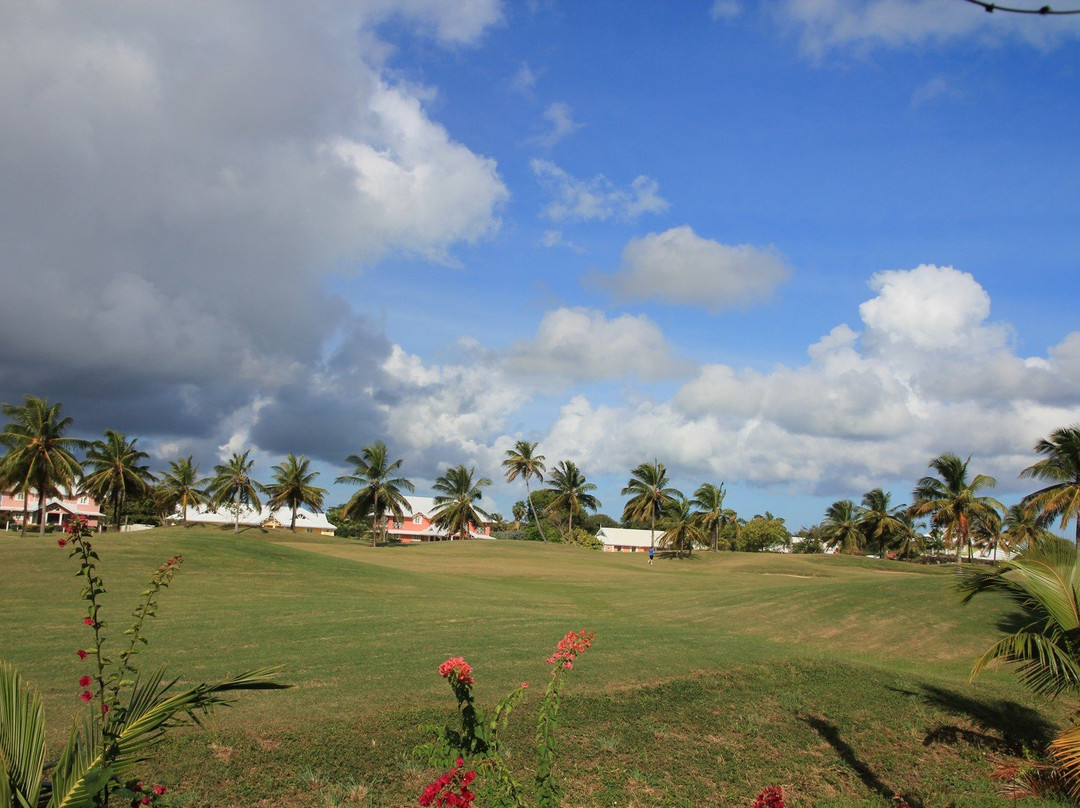 Tobago Plantations Beach and Golf Resort-低地必去景点