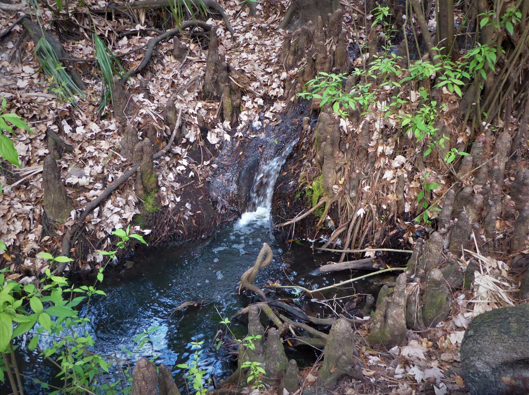 Little Big Econ State Forest-Geneva必去景点