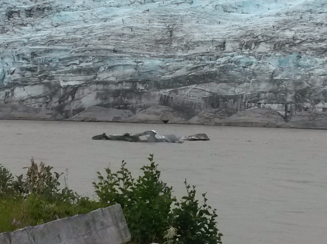 Child’s Glacier Tours by The Riverside Inn-Cordova必去景点
