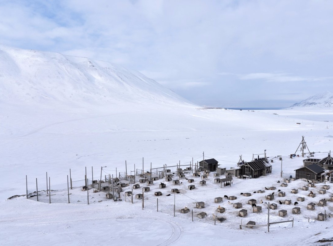 Trapper's Station-朗伊尔城必去景点