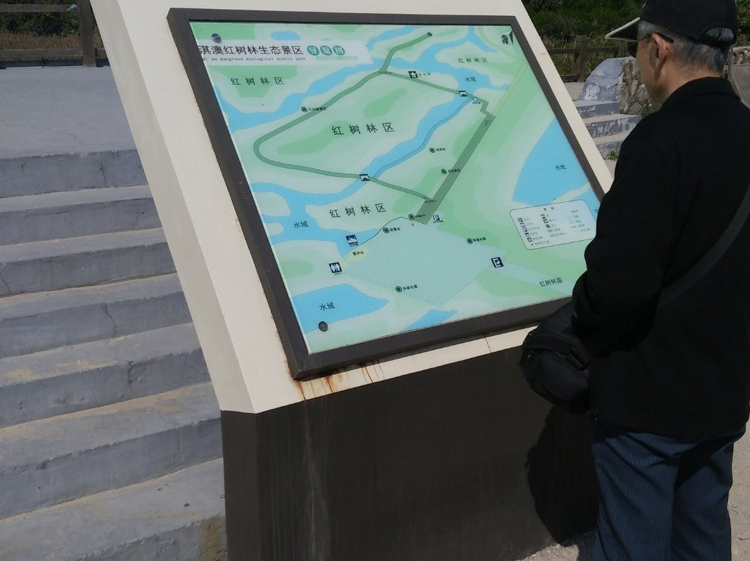 珠海淇澳红树林-珠海市必去景点