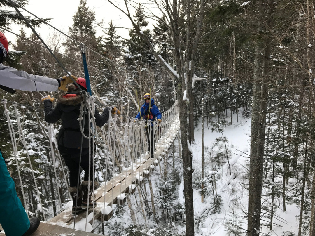 Bretton Woods Canopy Tour-布雷顿森林必去景点