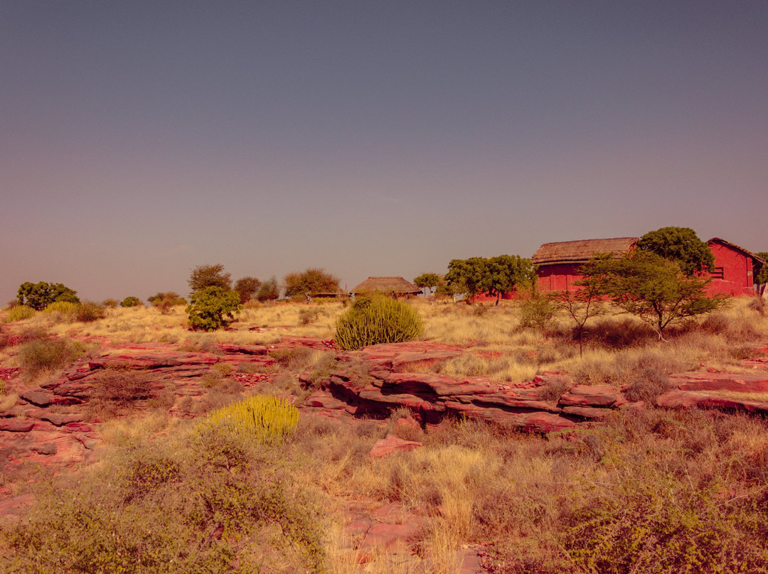 Arna Jharna: The Thar Desert Museum of Rajasthan景点图片