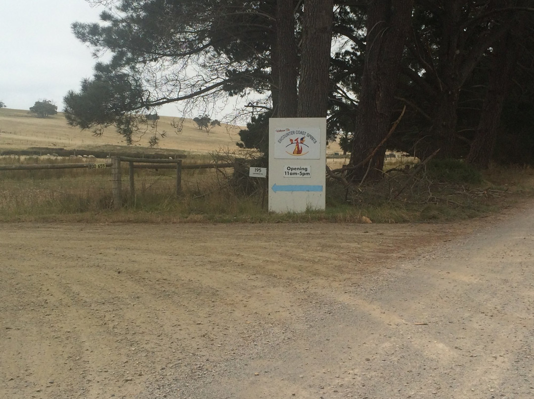 Encounter Coast Spirits