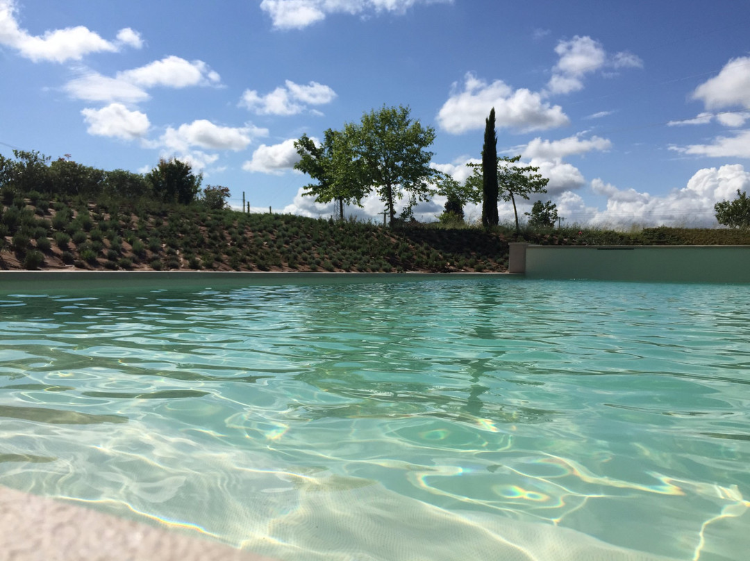 Ponsacco酒店住宿-卡萨莱利托里酒店