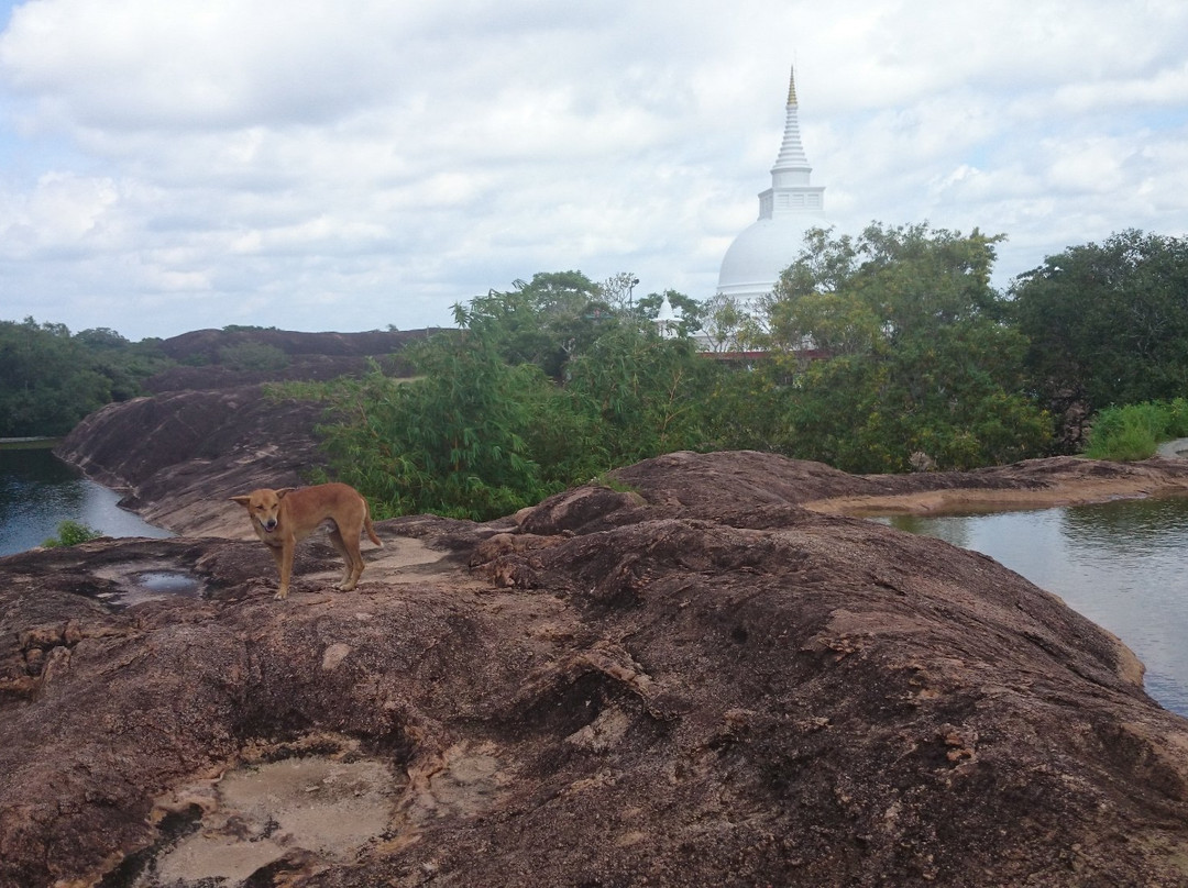 Thanthirimale-马纳尔必去景点