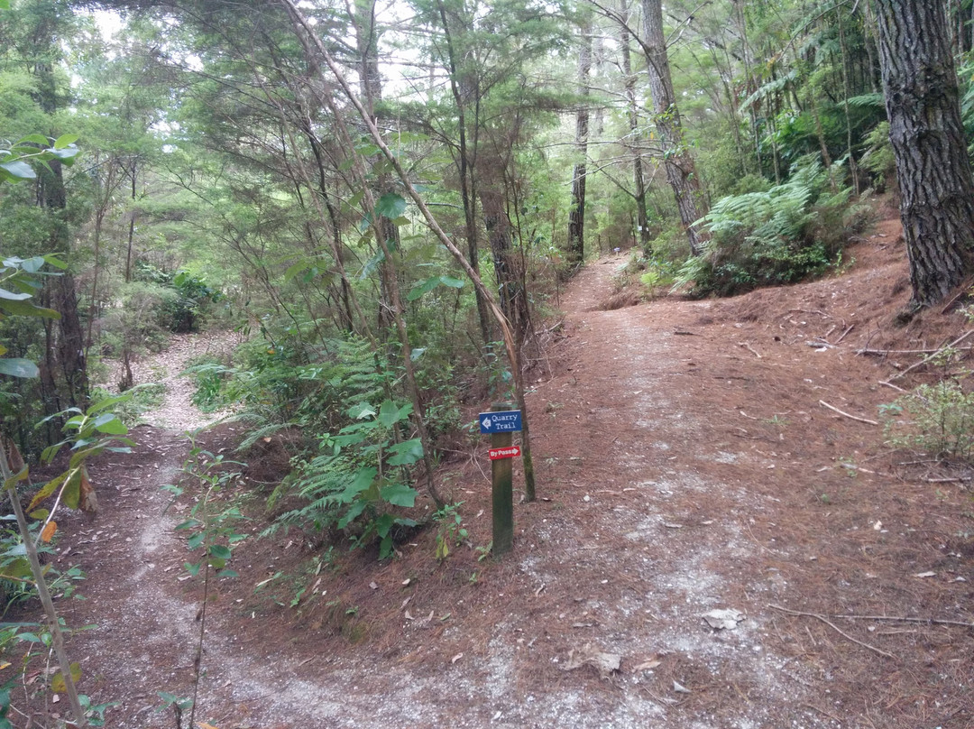 Whitianga Bike Park-菲蒂昂格必去景点