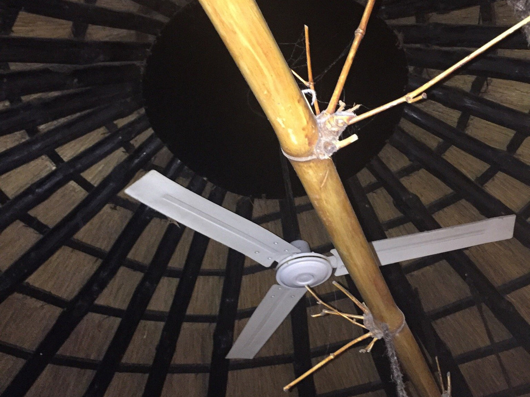 Montrose Falls-尼斯普鲁特必去景点