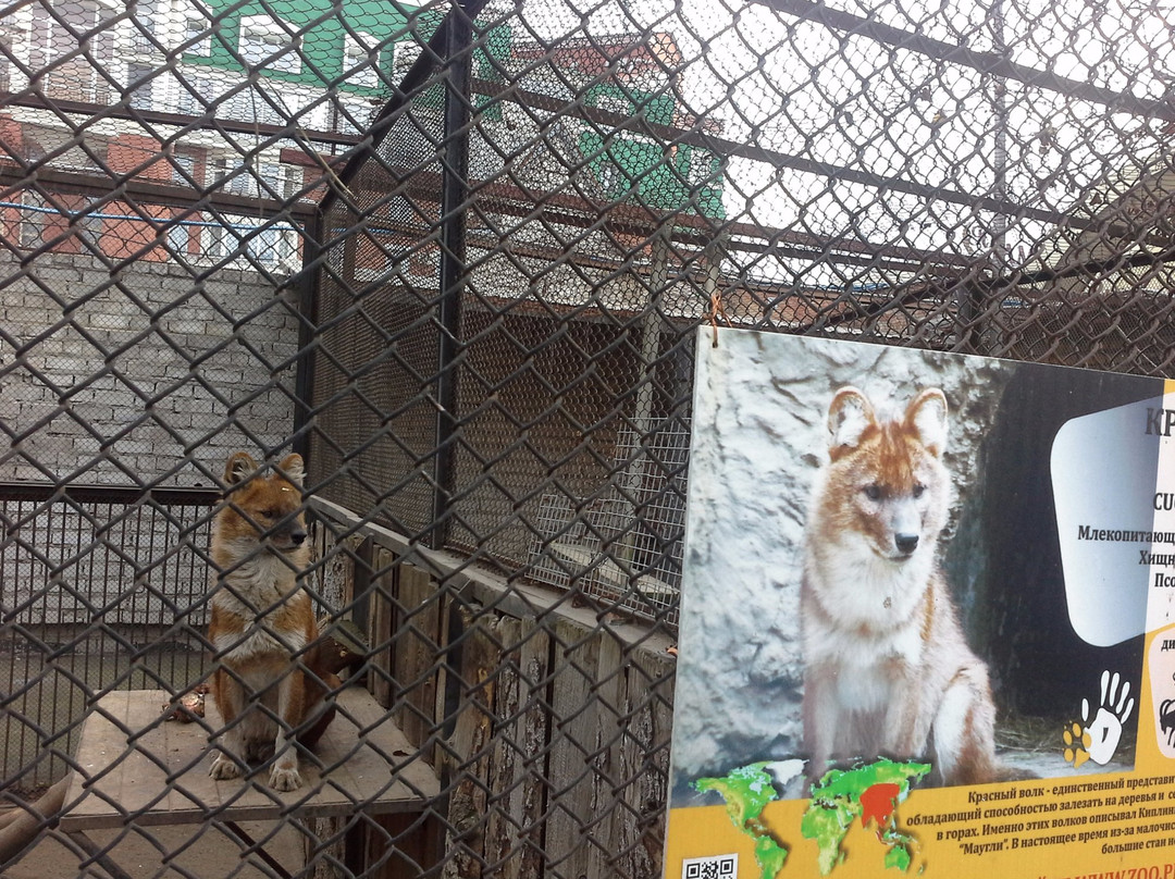 Perm Zoo景点图片