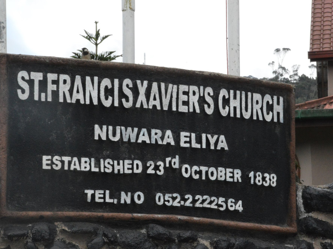 St Francis Xavier's church-奴娃拉伊利雅必去景点