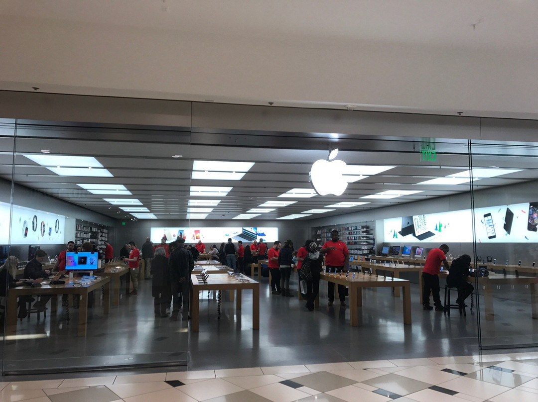 Twelve Oaks Mall-诺维必去景点