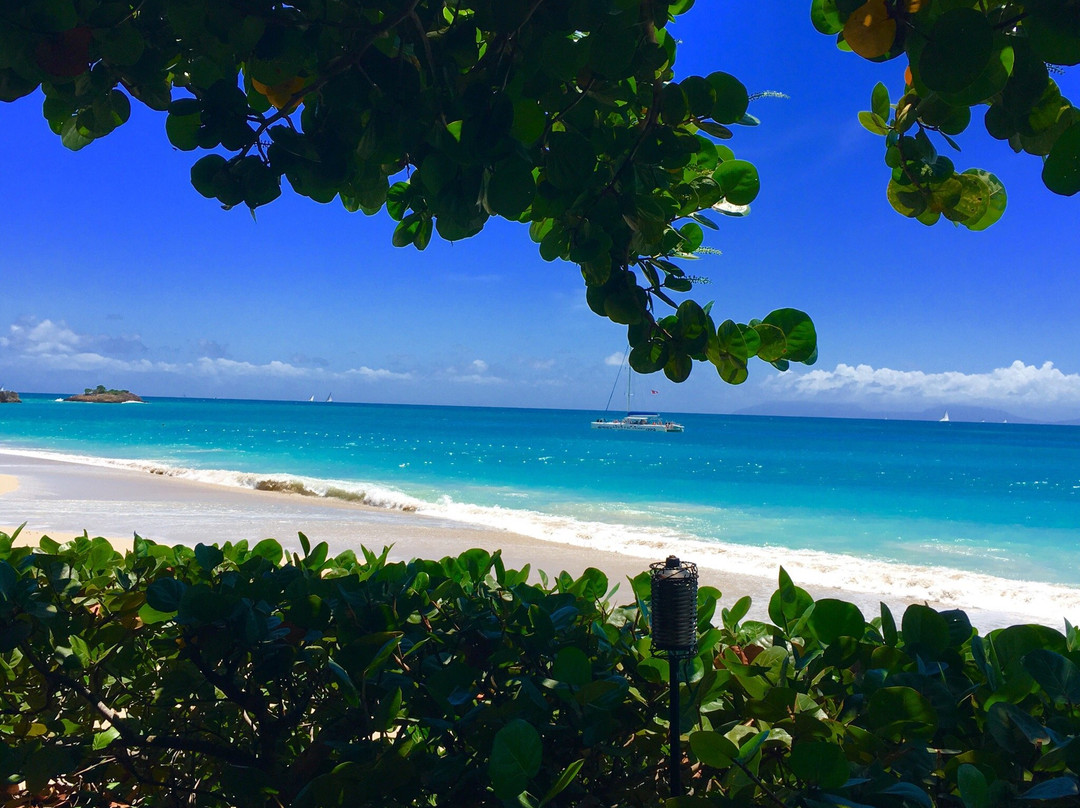 2023年Turners Beach旅游攻略 8Turners Beach酒店/景点/门票/美食/自助游/自驾/自由行/游玩攻略