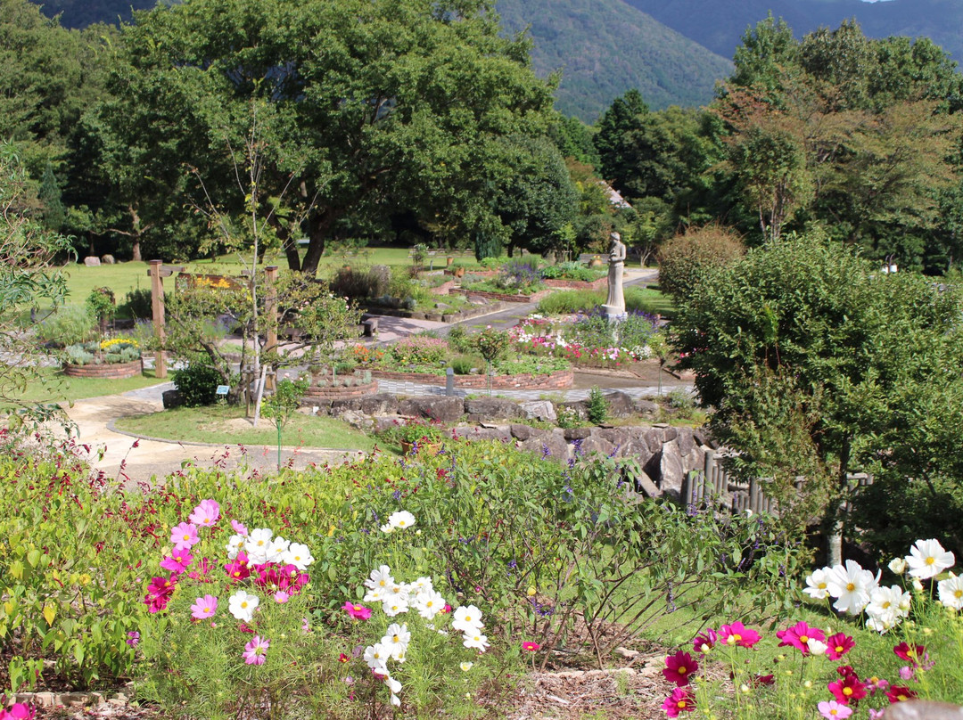 Aromatic Forest Park-邑南町必去景点