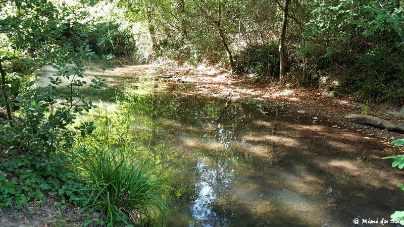 La Chartreuse Notre Dame de Montrieux-Meounes-les-Montrieux必去景点