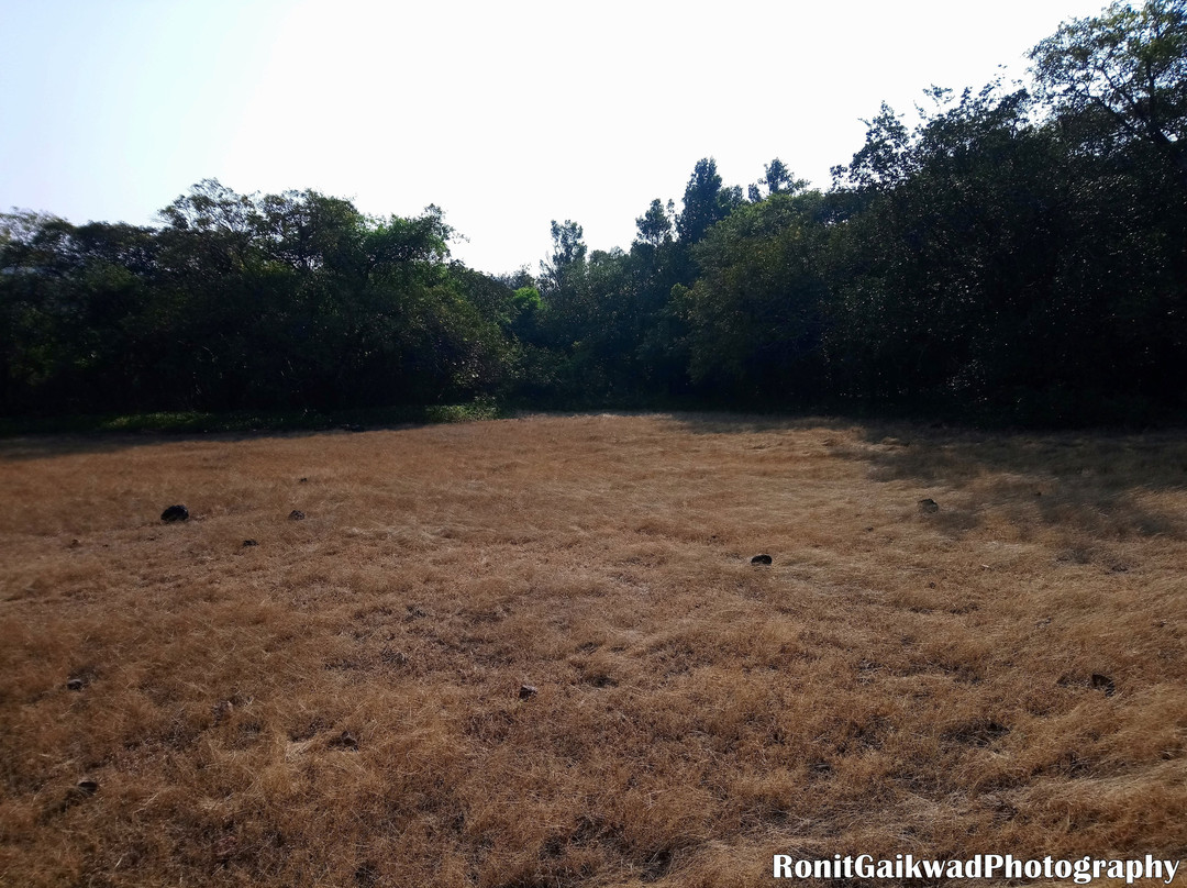 Radhanagari Wildlife Sanctuary景点图片