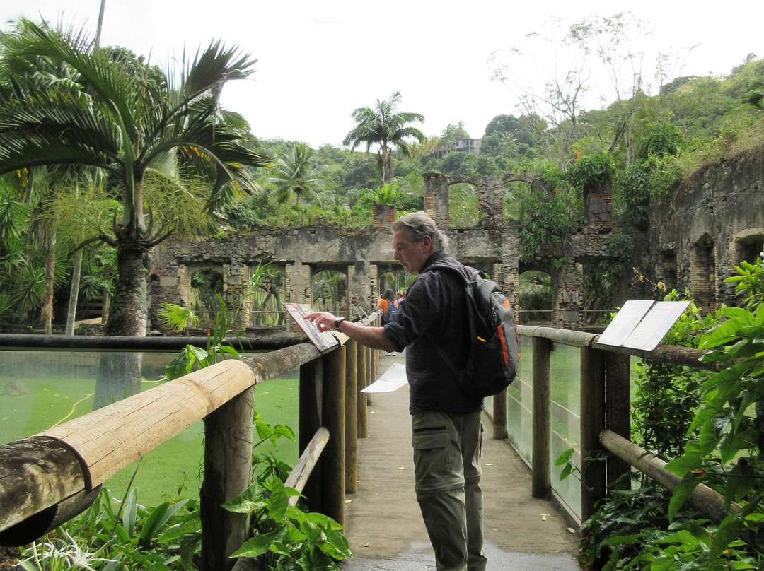 Zoo de Martinique-Le Carbet必去景点